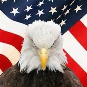 Meet your Posher, Jer